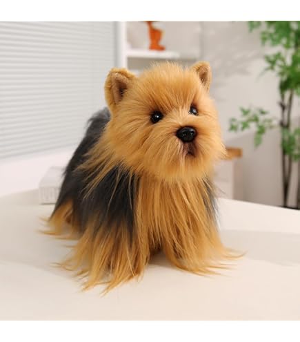Amazon.co.jp: シュタイフ(steiff) ヨークシャテリアのヘラクレス 24cm